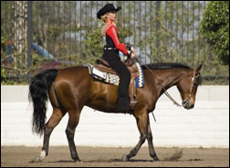 keys to winning equestrian western rider series